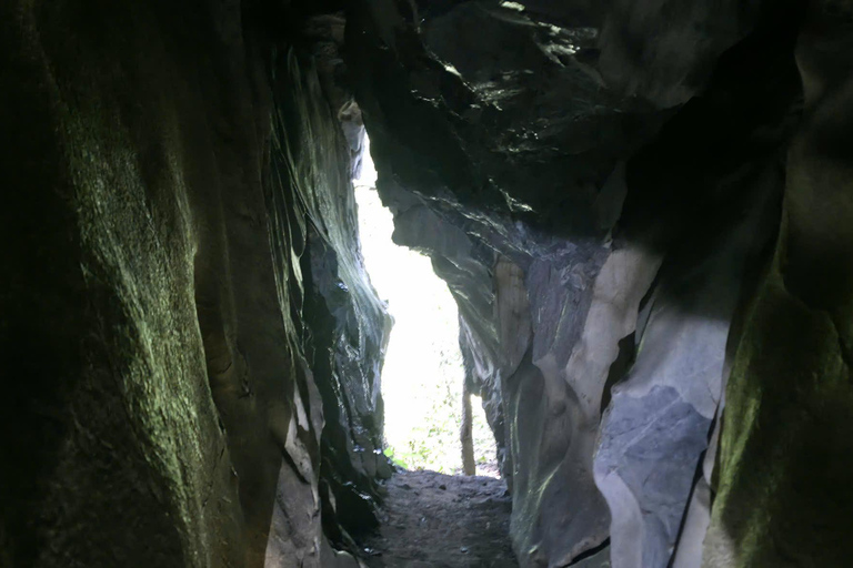 Half day Hiking Cat Ba National Park With guide