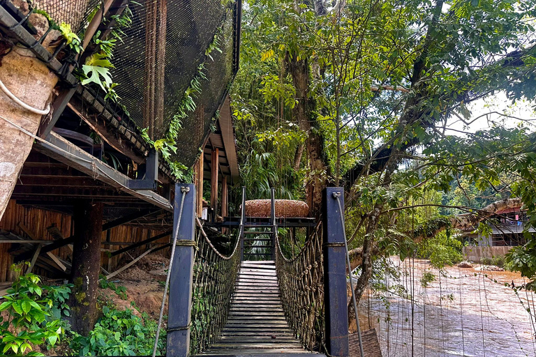 Chiang Mai Sticky Waterfall Tour, ATV and Scenic Café