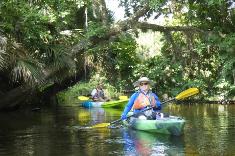 Orlando: Kleingruppentour auf dem Wekiva River mit dem Kajak