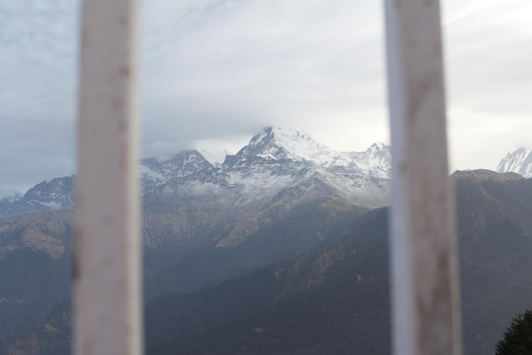 From Pokhara: 2-Day Short Poon Hill Trek