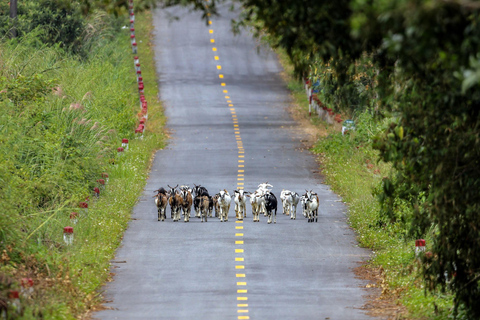 2D1N Cat Ba Island Adventure: Viet Hai Village - Lan Ha Bay