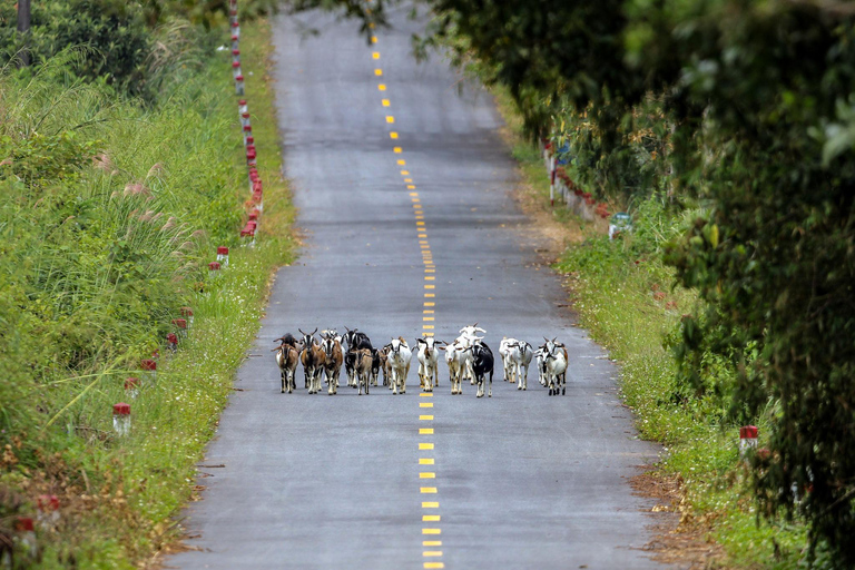 2D1N Cat Ba Island Adventure: Viet Hai Village - Lan Ha Bay