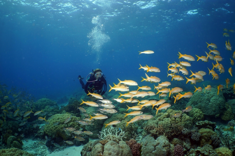 Port Douglas: duik en snorkel in Poseidon Outer Barrier ReefPoseidon 1 introductieduik