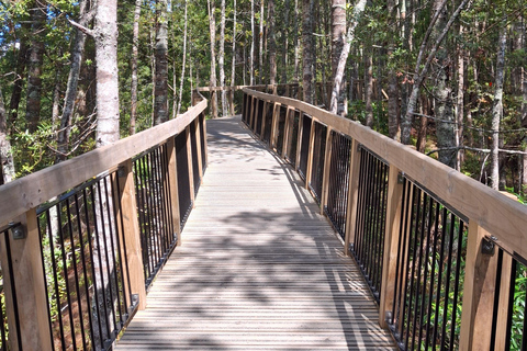 Auckland: Nature, Art, Seaside and Sugar Tour