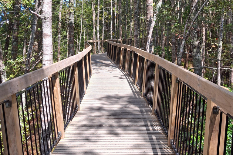 Auckland: Nature, Art, Seaside and Sugar Tour