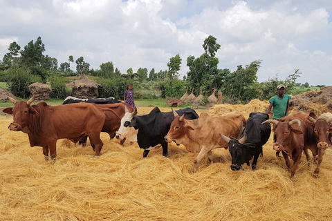 From Addis Ababa: Adadi Mariam Church & Market Day Tour