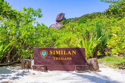 Au départ de Khao Lak : Excursion de plongée en apnée dans les îles Similan avec déjeuner