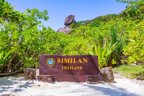 Z Khao Lak: wycieczka snorkelingowa na wyspy Similan