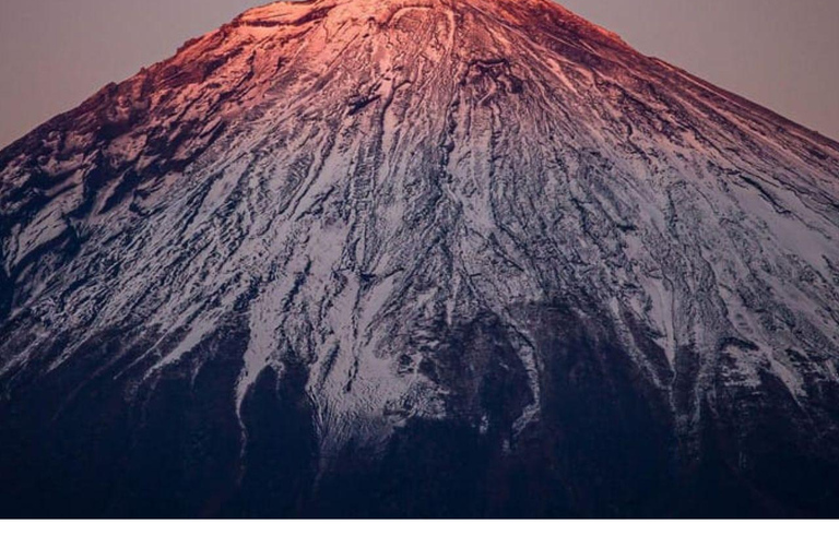 Tokyo : Visite privée d&#039;une journée au Mont Fuji et aux lacs