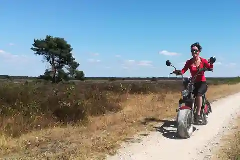 Otterlo: E-chopper rental