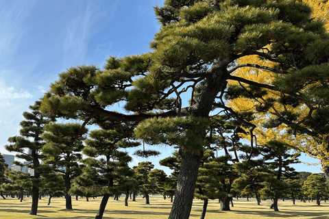 Tokyo: Imperial Palace Historical Walking Tour, Tokyo Castle