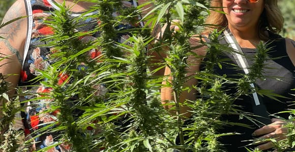 Montego Bay Marijuana Farm Private Tour