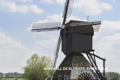 Rotterdam y Kinderdijk Tour diario a pie y en barco