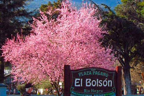 Bariloche: Full-Day El Bolsón and Puelo Lake Sightseeing Tour