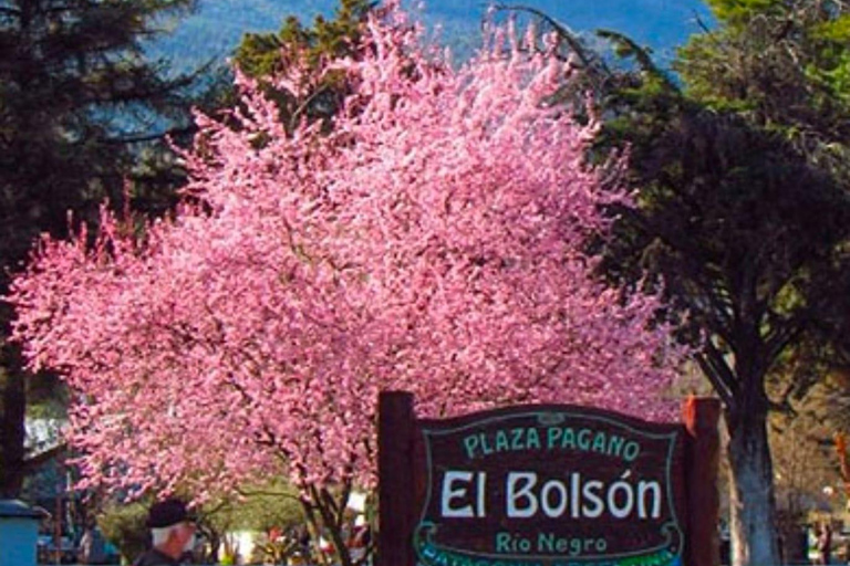 Bariloche: Full-Day El Bolsón and Puelo Lake Sightseeing Tour