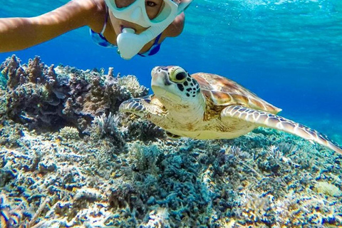 Cham Island: Group Snorkeling Trip by Speedboat Cham Island Speedboat Snorkeling Tour with Hoi An Pickup