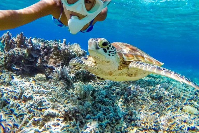 Cham Island: Group Snorkeling Trip by Speedboat Cham Island Speedboat Snorkeling Tour with Hoi An Pickup
