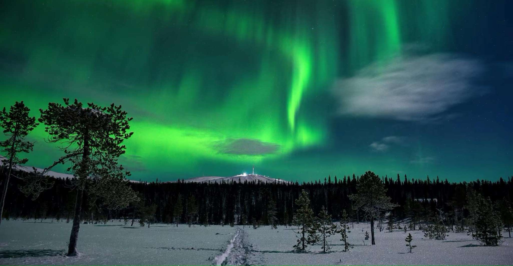 Levi, Aurora Borealis Bus & Snowshoe Tour with Hot Drink - Housity