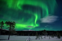 Levi, Aurora Borealis Bus & Snowstoe Tour con bebida caliente - Housity