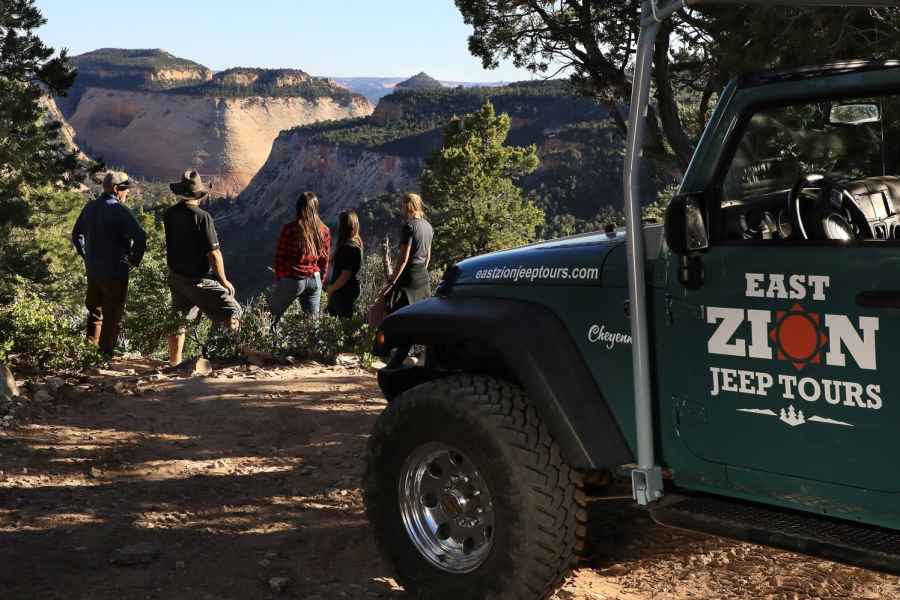 East Zion: 1-stündige East Rim Jeep Tour. Foto: GetYourGuide