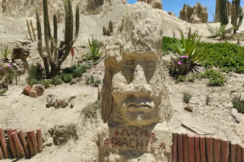 Tour moon valley and rich areas La Paz city