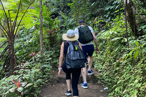 Bali: Foresta delle Scimmie di Sangeh, cascata e tour del tempioBali: tour della foresta delle scimmie di Sangeh, cascata e tempio