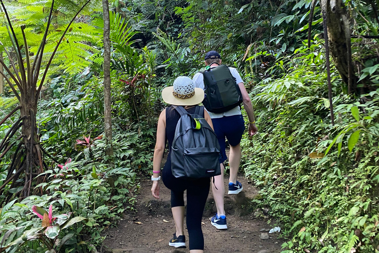 Bali: Foresta delle Scimmie di Sangeh, cascata e tour del tempioBali: tour della foresta delle scimmie di Sangeh, cascata e tempio