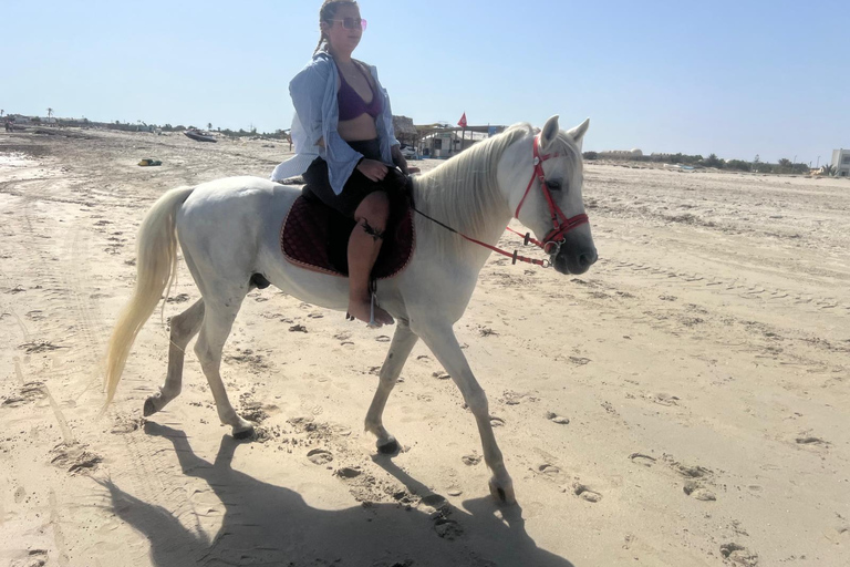 Djerba: Beginner Horse Riding Lesson for Adults and Children.