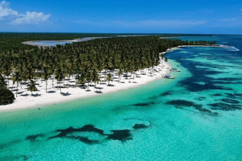 From Punta Cana: Saona Island Day Trip with Lunch & Drinks