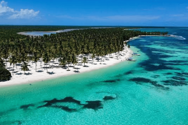 From Punta Cana: Saona Island Day Trip with Lunch & Drinks