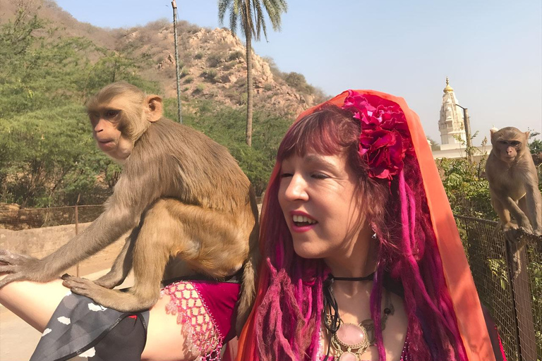 Jaipur : Marché aux fleurs, Fort d&#039;Amber, Temple des singes et visite de la villeVisite guidée sans guide