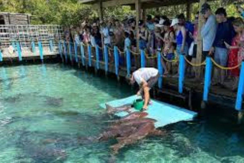 Cartagena: 3 Exclusive Destinations in the Rosario Islands