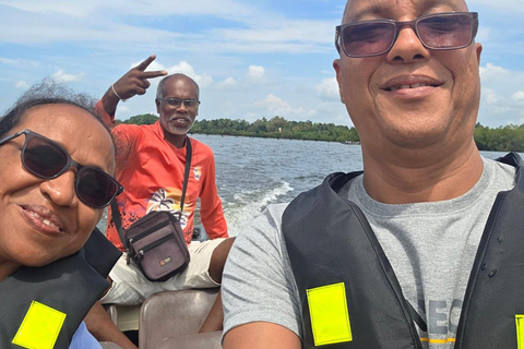 Colombo: Galle Fort and Mangrove Private Day Trip