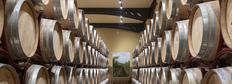 Visite et dégustation de vins Premium chez Duca di Salaparuta