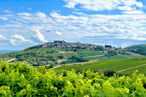 Paris Wine Day Tours - Sancerre wine tour from Paris