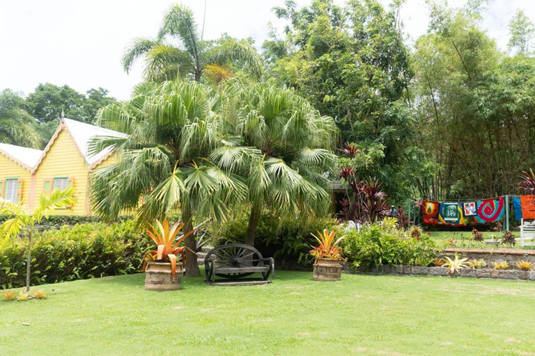 Tour de medio día por las plantaciones de Basseterre