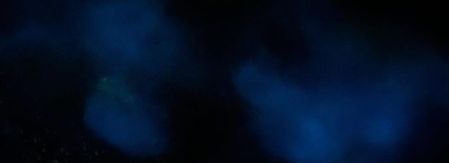 Aventure nocturne ULTIME en bioluminescence avec Brandon