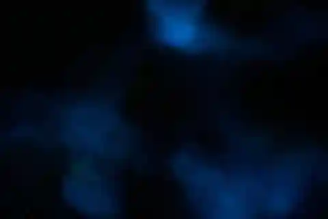 ULTIMATE Bioluminescens nattäventyr med Brandon
