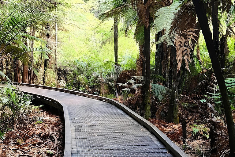 Prywatna jednodniowa wycieczka Hobbiton &amp; Rotorua &amp; Redwood forest