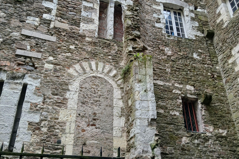 Nantes: 90-minute tour of St. Peter and St. Paul Cathedral with a professional guide