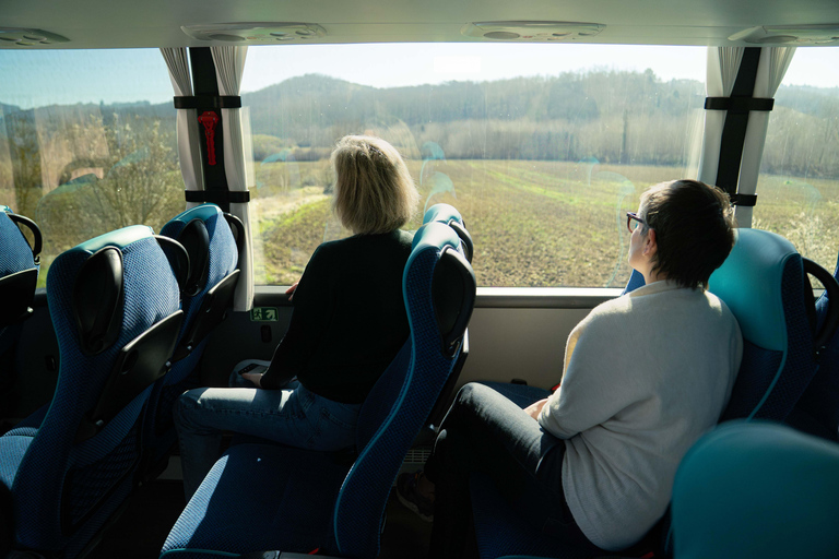 Florence: Tuscany 1-Day Flexible Sightseeing Bus Tour
