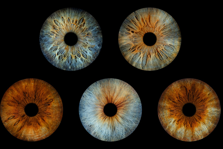 Deauville: Reveal the beauty of your iris with Iris Galerie Deauville: Reveal the beauty of your iris in 40 minutes