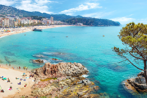 Transfer from Barcelona to Lloret de Mar