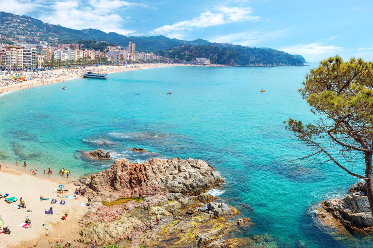 Transfer from Barcelona to Lloret de Mar