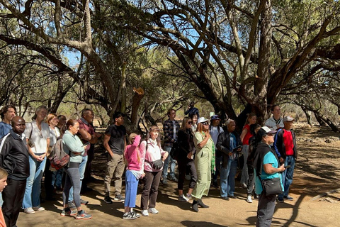 Cradle of Humankind and Lesedi Cultural Village