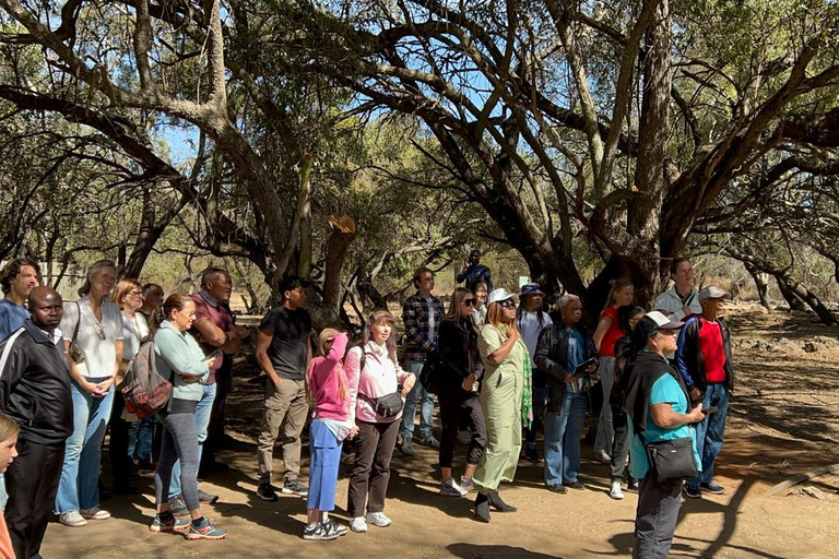 Cradle of Humankind and Lesedi Cultural Village