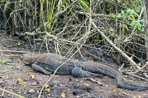 Bentota/Beruwala: Galle Fort, Koggala Lake & Kayaking Tour