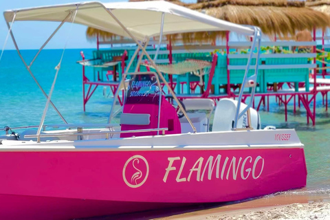 Flamingo Coco Beach: Transport & Lunch on the Best Tunisian Beach Flamingo Coco Beach: Transport & Lunch at the Best Tunisian Beach