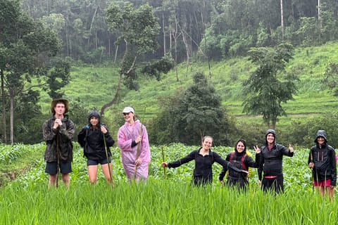 Chiang Mai: 2-Day Jungle Trek, Waterfalls and Karen Village - Image 2
