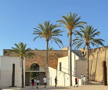 Palma in person and away from the crowds